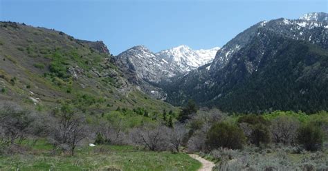 The Bells Canyon Trail To Ridgeline Adventure In Utah 10adventures