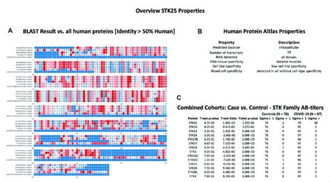 Stk Protein Sequence Identity And Antigen Specificity Analysis A