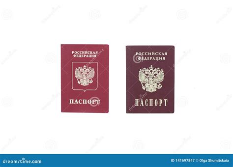 Shchelkovo Russian Federation Mar 09 2019 Two Passports Foreign