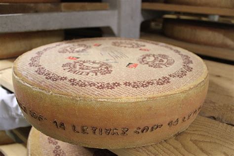 Behind The Scenes Of Swiss Cheesemaking Culture The Word On Cheese