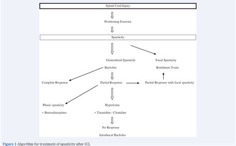 Figure 1 From Spasticity After Spinal Cord Injury Part 2 Treatment Semantic Scholar