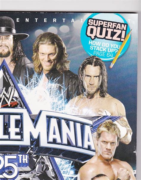 Wrestlemania 25 Poster