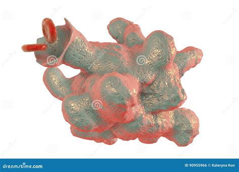 Entamoeba Histolytica Protozoan Stock Illustration Illustration Of Macro Invasion 90955966