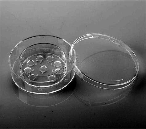 Blastocyst Culture Dish