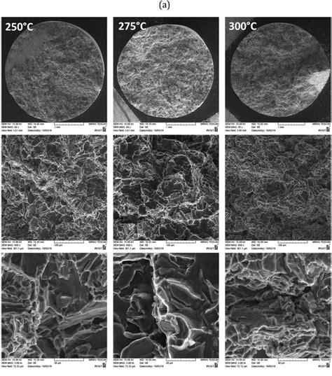 The FE SEM Image Of Fracture Surfaces For Aluminumsilicon Alloys A