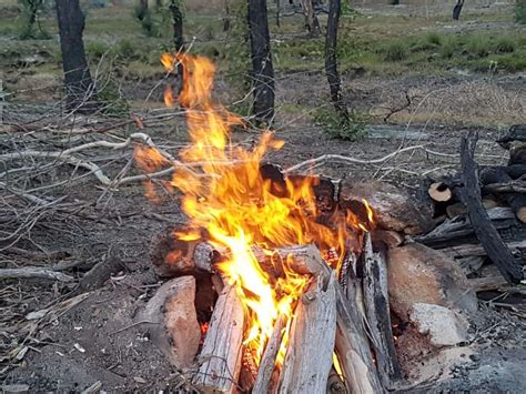 Bald Rock Station Hipcamp In Tenterfield New South Wales