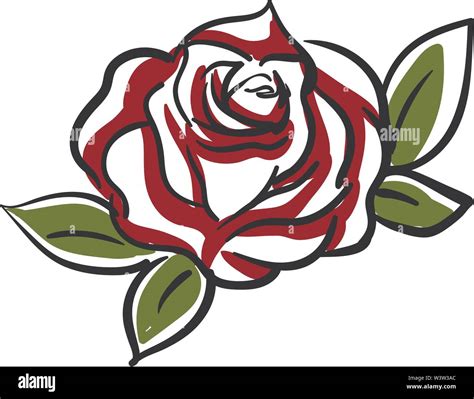 Red Rose Drawing Illustration Vector On White Background Stock Vector