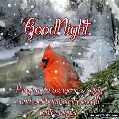 Animated Winter Goodnight Quote Pictures Photos And Images For