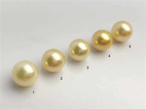 Mm Golden South Sea Loose Pearls Round Aa Percent Off