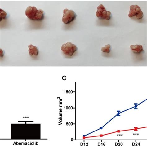 Abemaciclib Substantially Inhibited The Proliferation Of Hcc Cells In