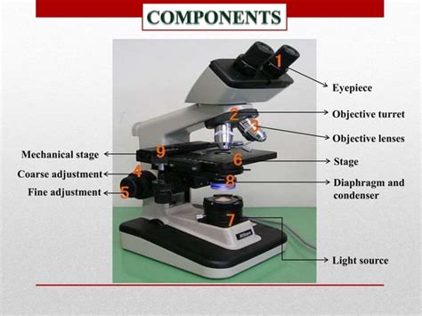 Optical microscope | PPT