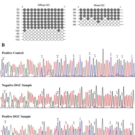 Type and localization of the variants found in the CDH1 gene by next ...