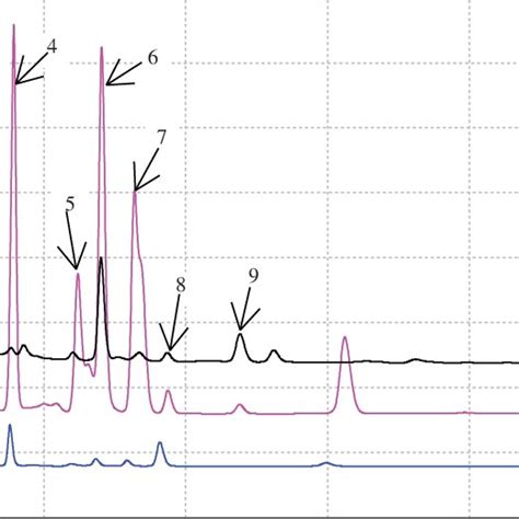 Chromatogram Of A B Standard Mixture C Surk Cheese Sample Download Scientific Diagram