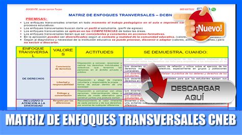 MATRIZ DE ENFOQUES TRANSVERSALES CNEB Descarga aquí SIAGIE