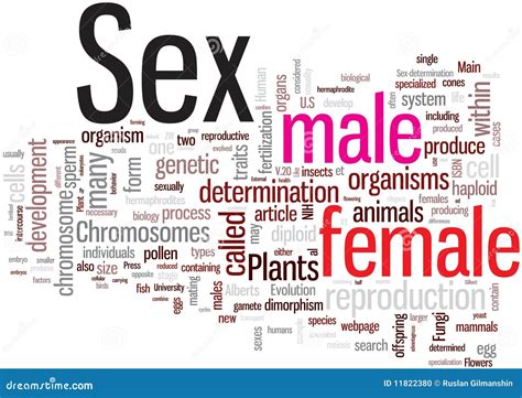 Sex Word Cloud Stock Illustration Illustration Of Reproduction 11822380