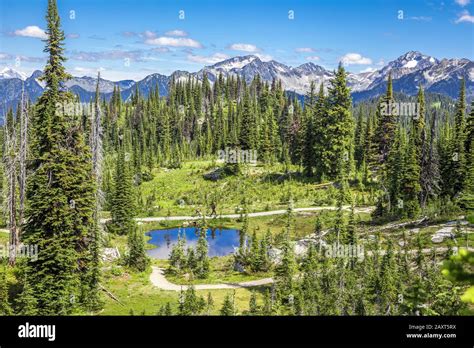 Revelstoke National Park, BC, Canada Stock Photo - Alamy