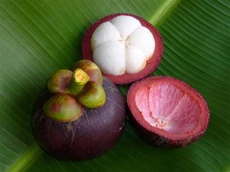 Rare and Unseen Fruits : Mangosteen - Infy world