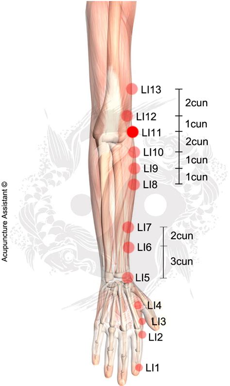 Pin En Acupuncture