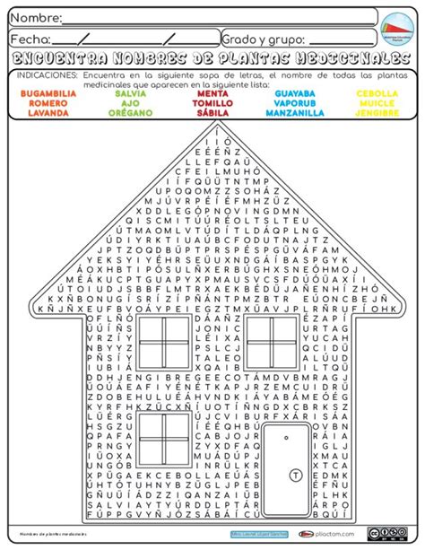 SOPA DE LETRAS Encuentra Las Plantas Medicinales Sopa De Letras