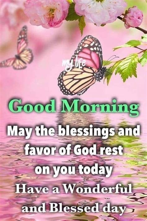 Good Morning May The Blessings And Favor Of God Rest On You Today