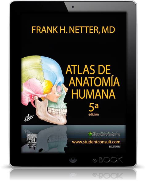 Duendebööks 💽 Atlas De Anatomia Humana L Frank H Netter L 5ta Edicion L Libro Digital ♣