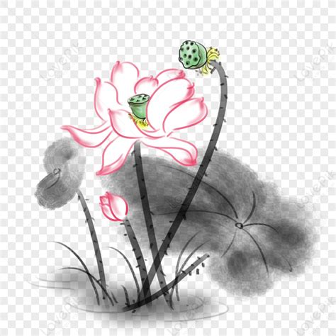 Hand Painted Ink Lotus Illustration Png Free Material Green Lotus