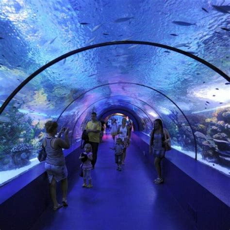 Antalya Aquarium Tour Von Alanya Transfer Und Ticket