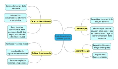 Cartographier L Autisme En Sch Mas Pour Mieux L Accompagner