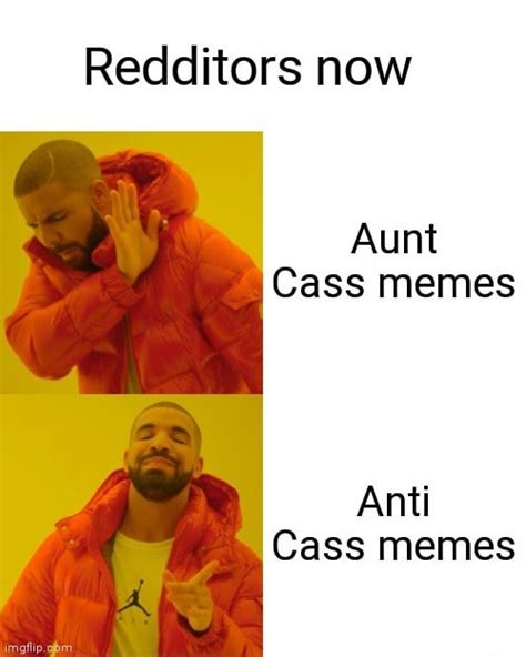 Redditors now Aunt Cass memes Anti Cass memes - iFunny