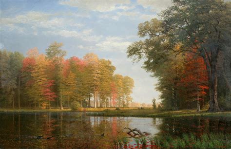 Autumn Woods Oneida County State Of New York By Albert