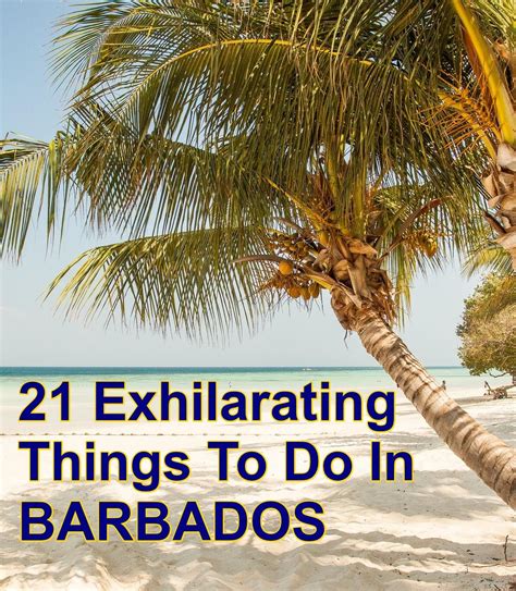 21 Exhilarating Things To Do In Barbados Barbados Travel Days Of The