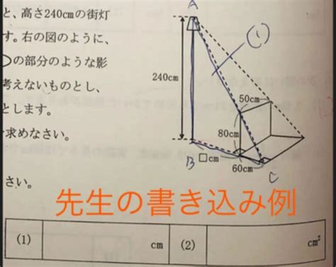 Ena 注文 6年 全52冊 公立中高一貫校 適性検査 テキスト テスト 都立中 模試