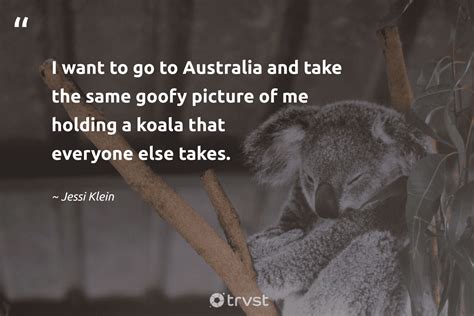 15 Koala Quotes About The Sleepy Marsupials