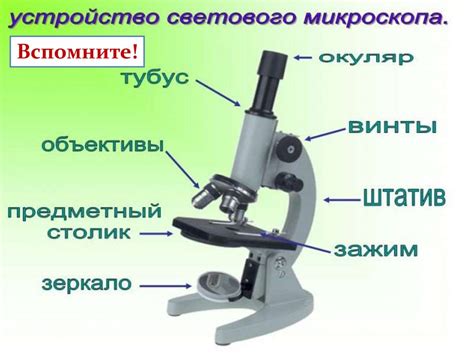 Все части цифрового микроскопа и их название