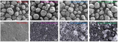 (a) The used raw iron powder and (b) its magnified surface. (c) Reacted ...