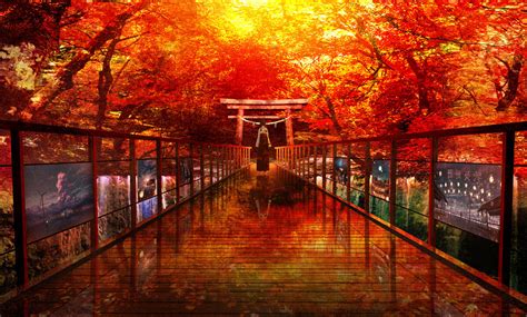 autumn scenery girl wallpapers from arashilkis - images from Fonwall