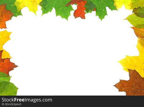 autumn fall leaves frame  photo  stockfreeimages