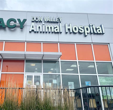 What to Expect at Don valley veterinary clinic - Don Valley Animal Hospital