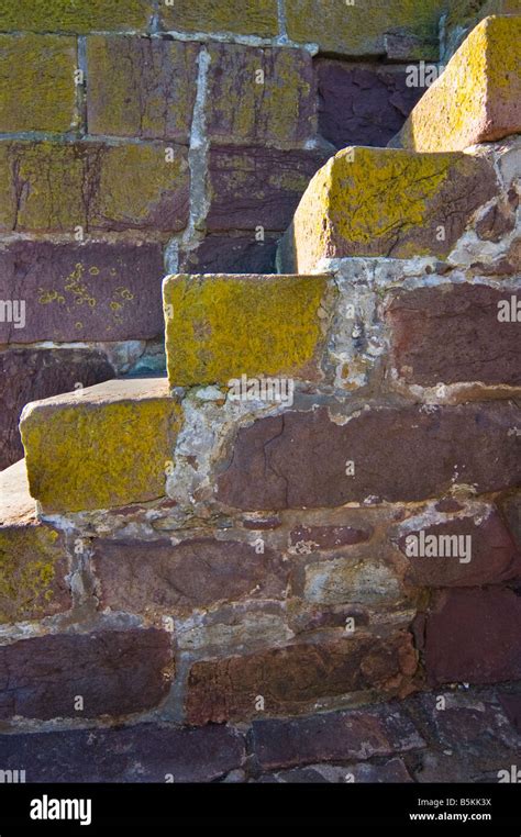 Passo Lichene Muro Del Porto Immagini E Fotografie Stock Ad Alta