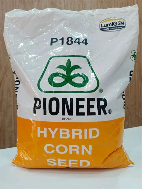 P1844 Pioneer Hybrid Corn Seed Packaging Type Packet Packaging Size 4 Kg At Rs 2260 Pack In