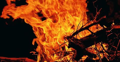 Flames in Bonfire Free Stock Video Footage, Royalty-Free 4K & HD Video Clip