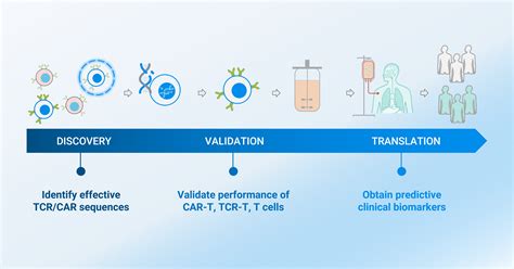 Application Note Revolutionizing Adoptive Cell Therapy Development