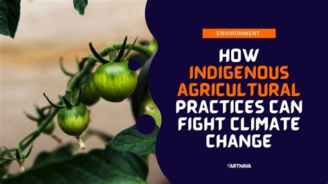 How Indigenous Agricultural Practices Can Fight Climate Change Earthava