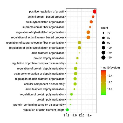 Go Analysis Of Target Gene Function Of Exosomal Mirnas Download