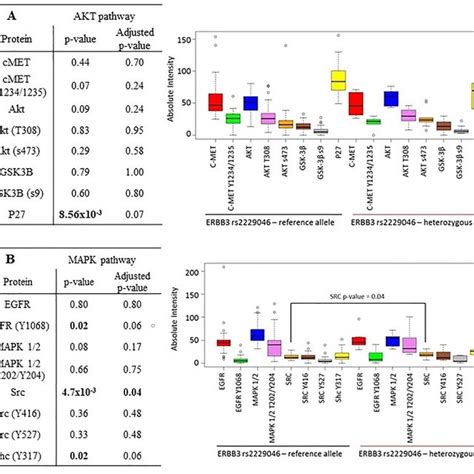 Reverse Phase Protein Array Analysis Correlating Differential Download Scientific Diagram