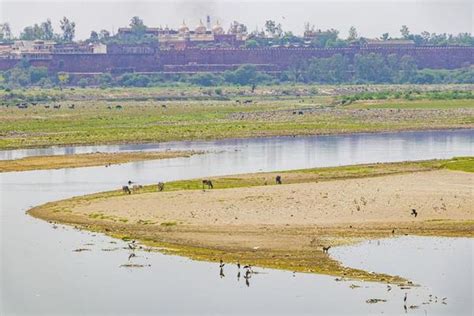 Yamuna River Stock Photos, Images and Backgrounds for Free Download