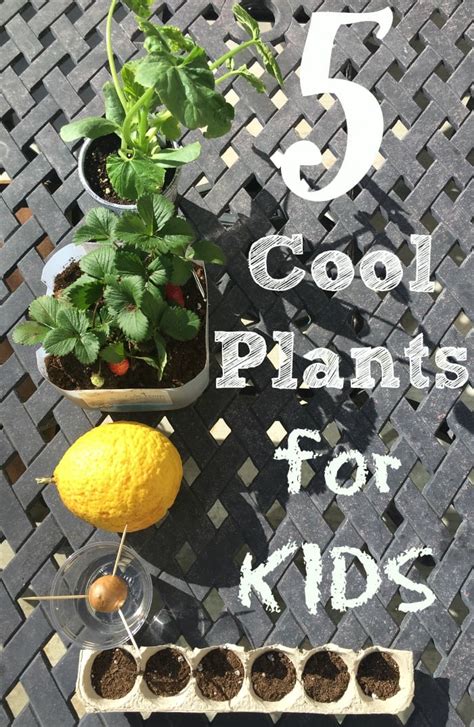 Hands On Gardening Activities for Kids They Will Love