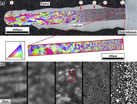 Microstructure Of A Ded Graded Ti 25 Zr 50−x Nb X Ta 25 Hea A The