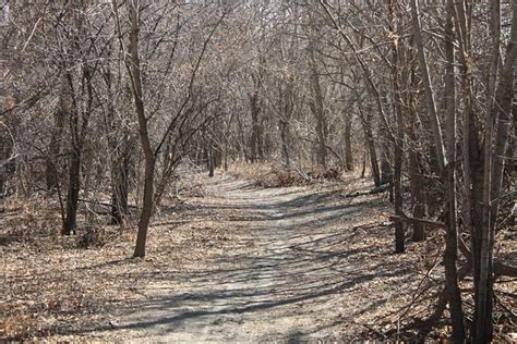 Des Arbres Piste Chemin Les Photo Gratuite Sur Pixabay Pixabay