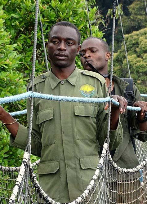 Nyungwe Forest National Park Gap Travels Uganda